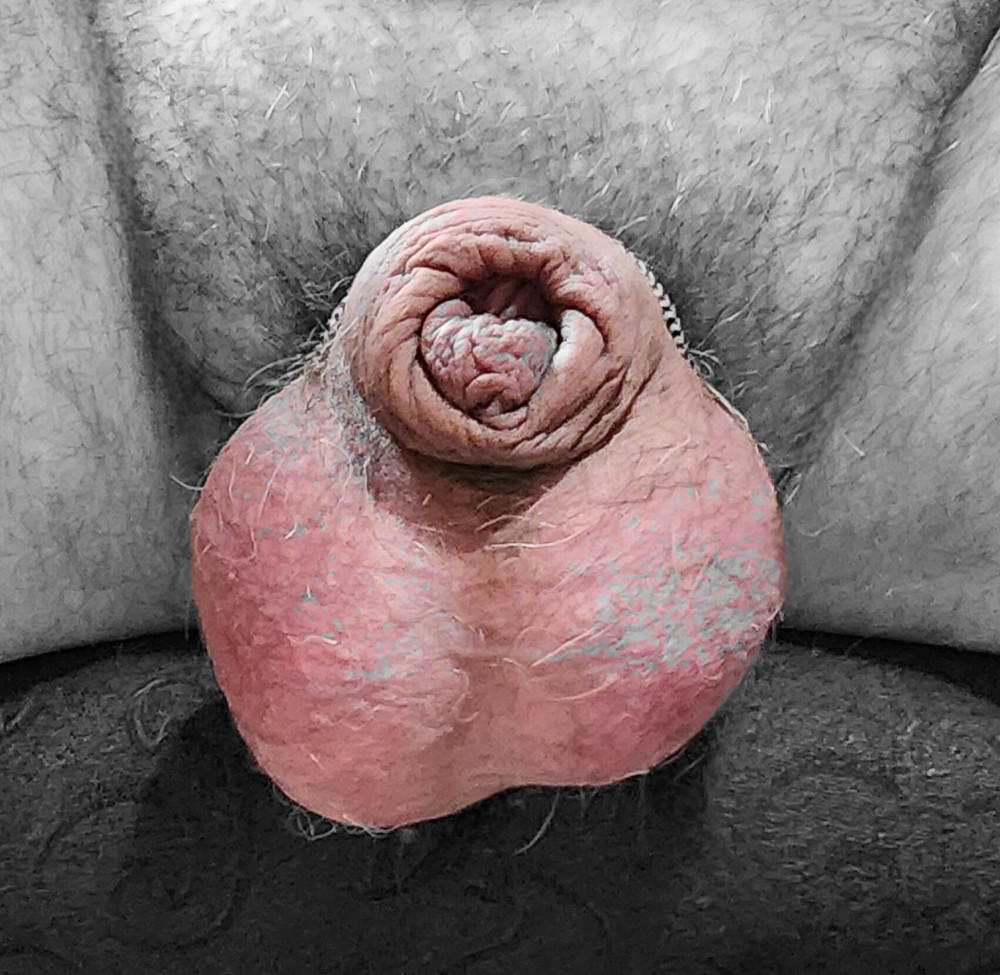 Silly Dick Trixx #12