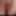 desired pictures for Budy 8219
