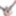Test Gallery #27
