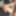 TGIRLS XXX: Blair Carter Takes it Raw!