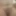 Size of my dick. #3