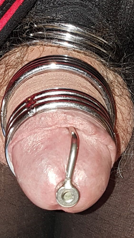 Cock ring #42