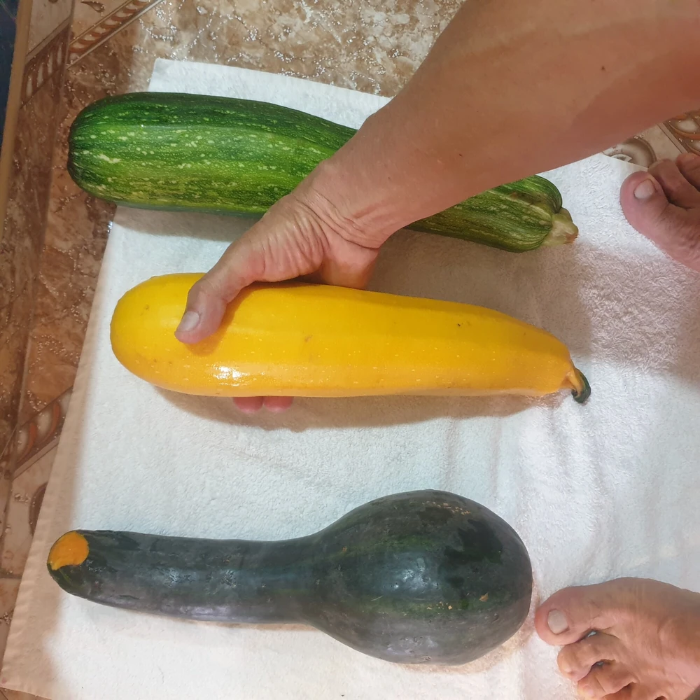 Yellow zucchini