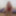 Riding 10 inch  Dildo #4