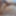 Sissy Boy Lovelaska - sexy ass and sausage animation gif 