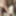 10 inches African BBC cumshot #44