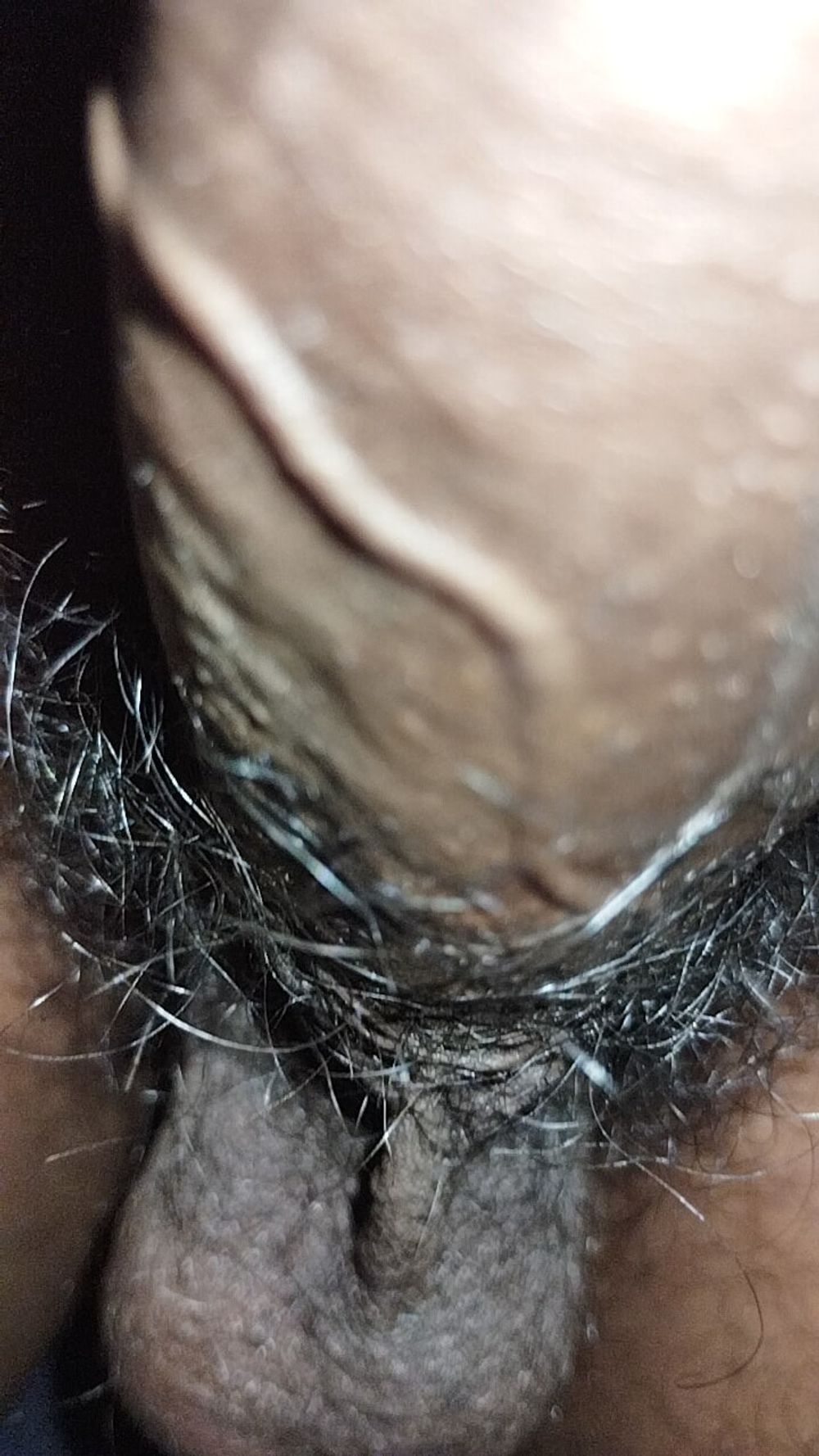 Asian black cock, boy black panis, indian panis, kala lanf #23