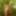 Ich Outdoor