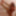 Tygra babe eat the two sides of large cumcumber. #12