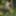 Horny bunny in stockings in the forest