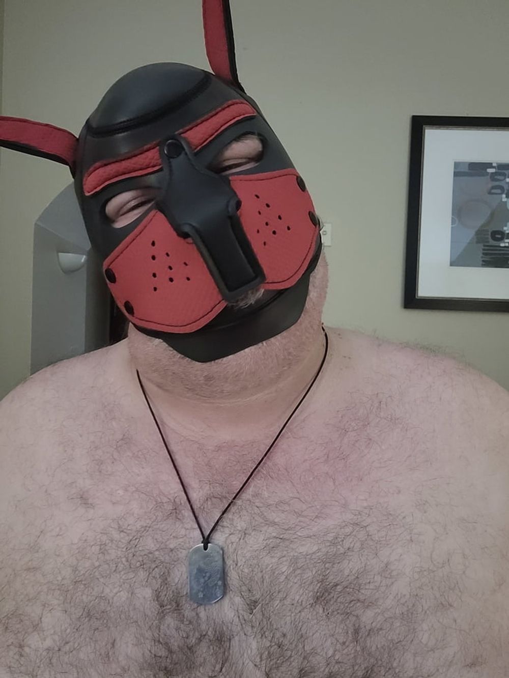 Woof! Masked Set #17