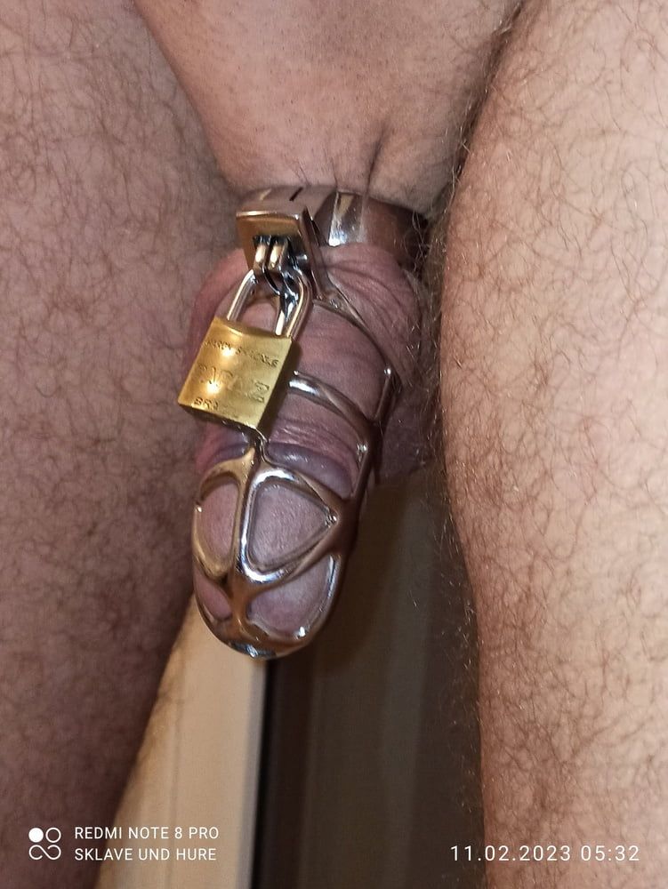 Only for him, Cagecheck nippleplay with 4 clamps #3