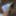 FEMOUT.XXX: Baby&#039;s in Blue #3