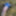 Cover up, reveal #6