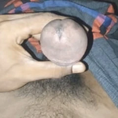 My today fan