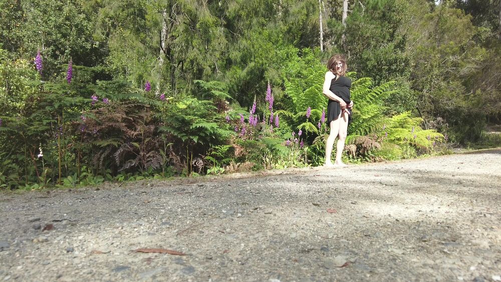 Crossdress Road Trip - Forest Road - Black Dress #7