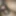 My Dick