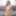 ASIANTGIRL: New&#039;s Stunning Debut
