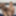 Alexa Grace In Black Pantyhose Stripping Down