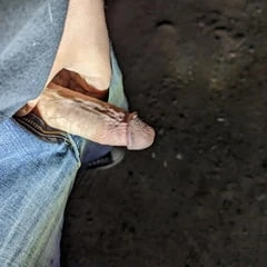 Random dick shots 