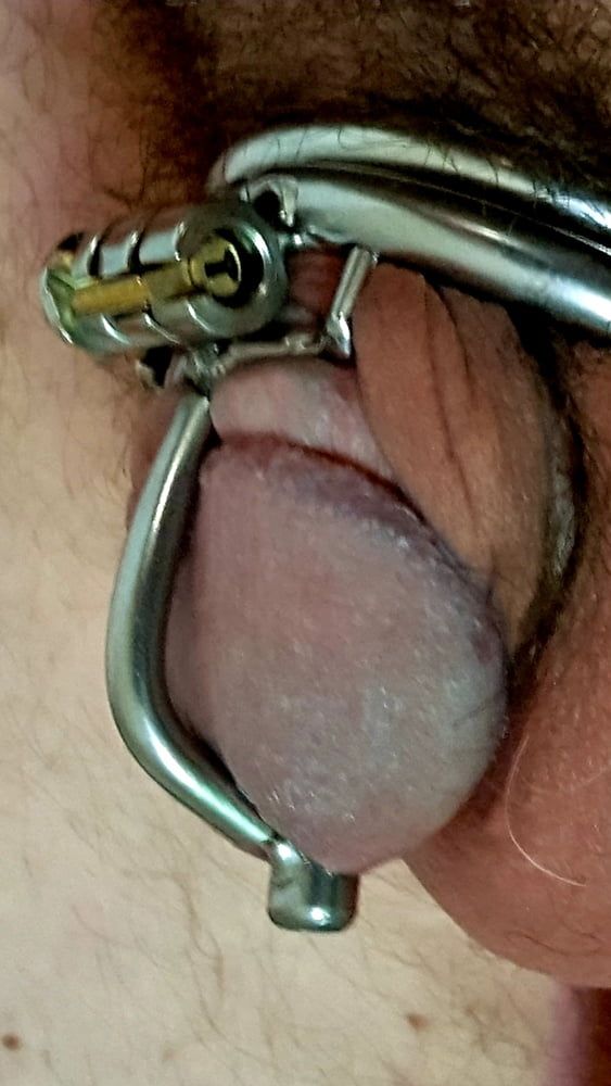Me in Chastity Cage 1 #14