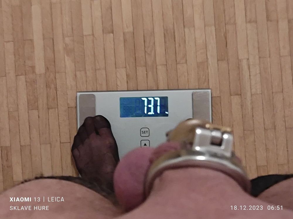 Mandatory weighing cagecheck plugcheck December 18, 2023 #36