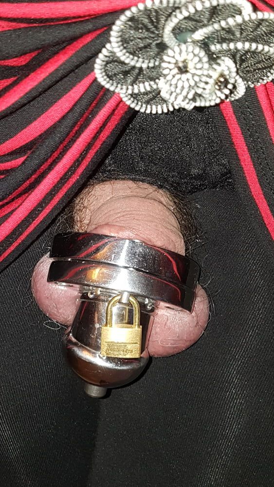 Chastity cage #11