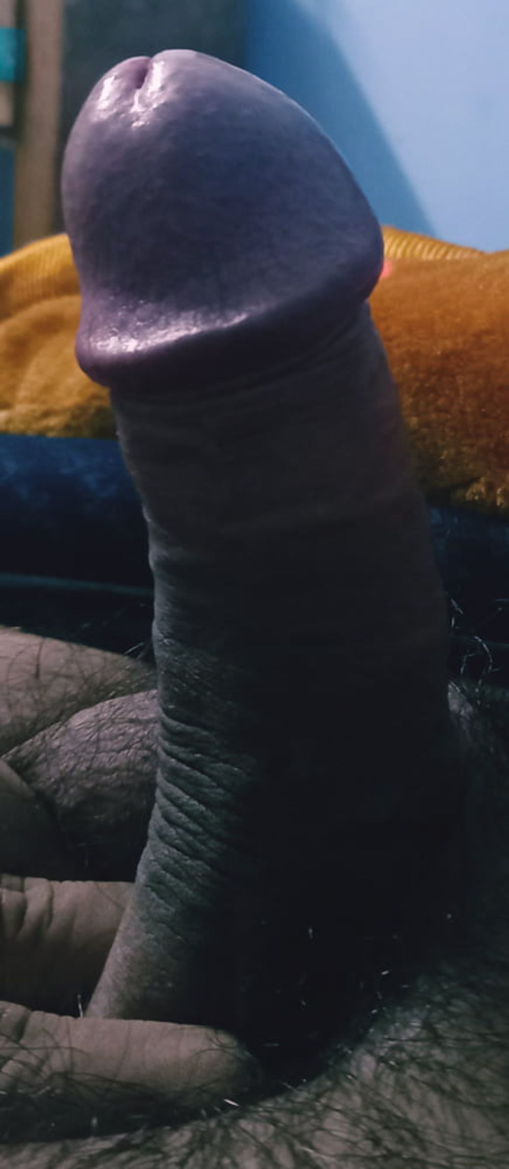 My Penis