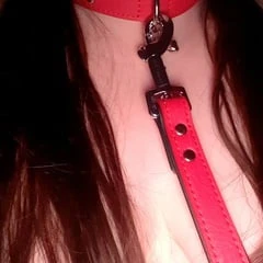 Pet play 2
