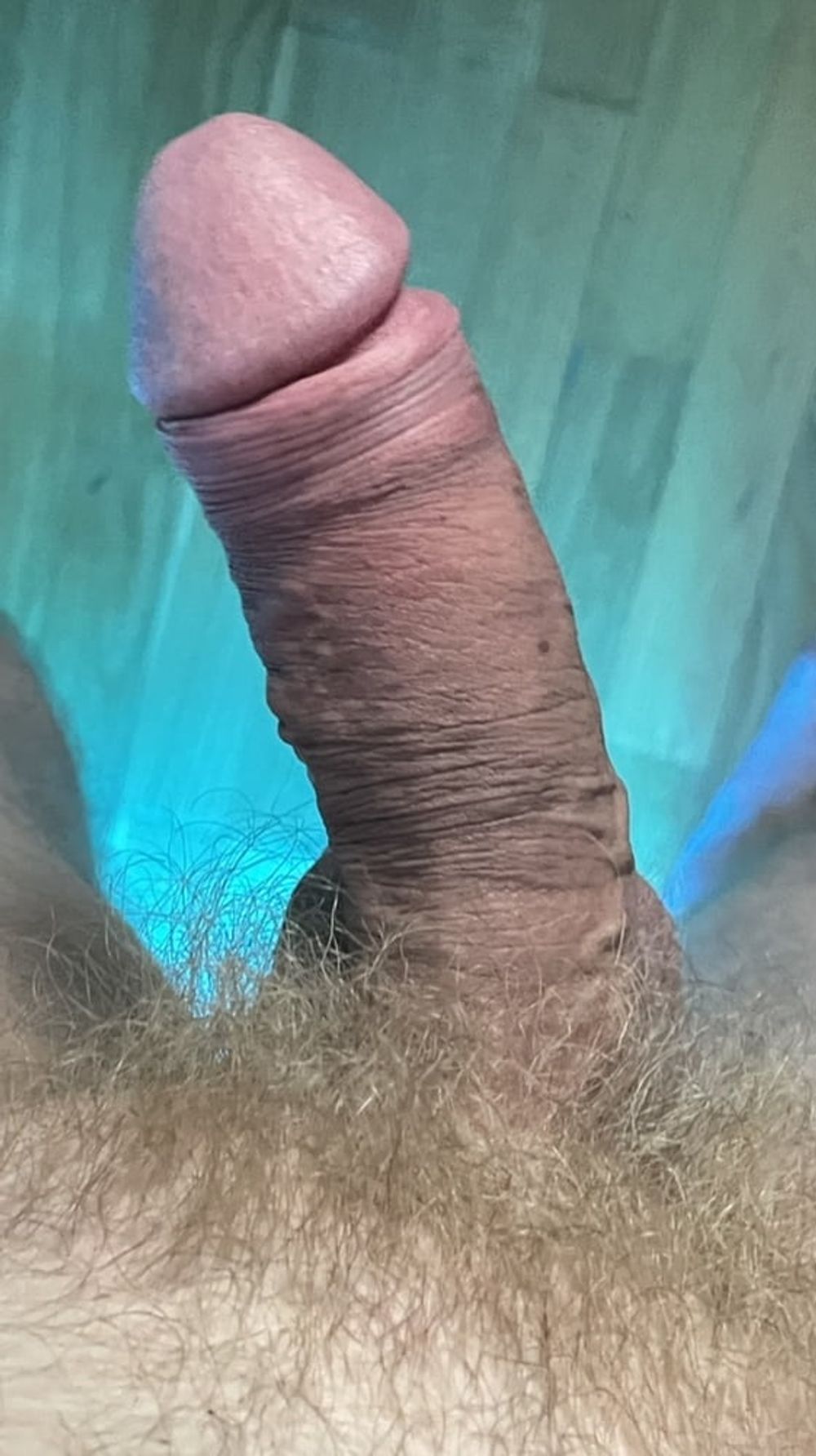 Beautiful Russian Thick Dick. Hardons. Set 5 #16