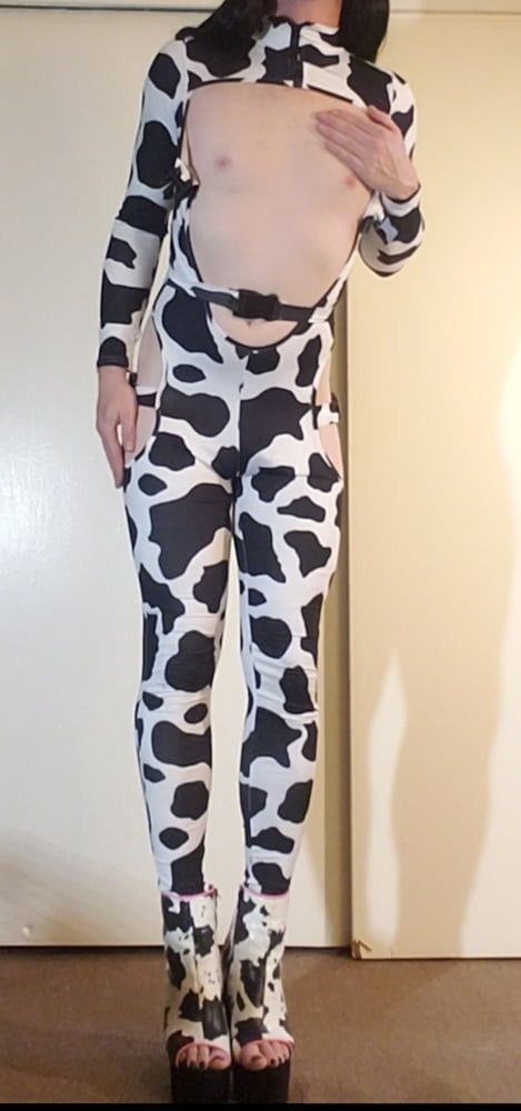 Cow Slut in Her Spots #12