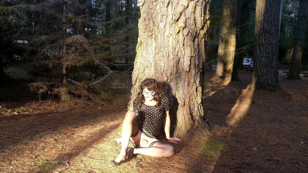 Crossdress Roadtrip - Pine Forest #10