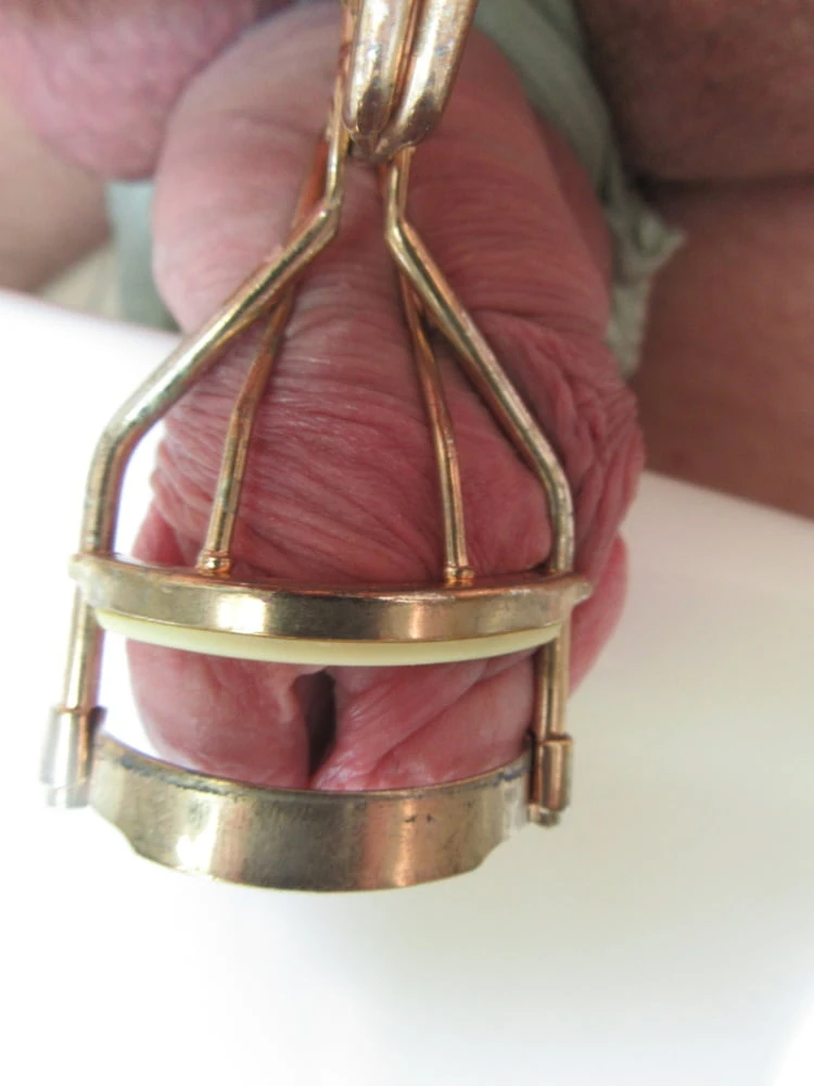 Cock BDSM #10