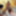 Private german swinger ganbgang with 3 girls &amp; 22 men - 2 #36
