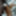 Jill Valentine Lab Sample