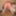 2021 Candy Schoolgirl in New Clitty Cage Takes BBC 