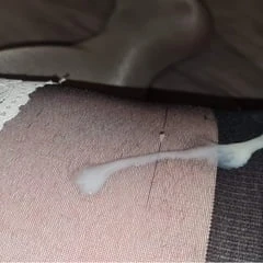 sexynylon
