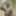 Indian slave. Living to Surve men and full-fill fantasies   