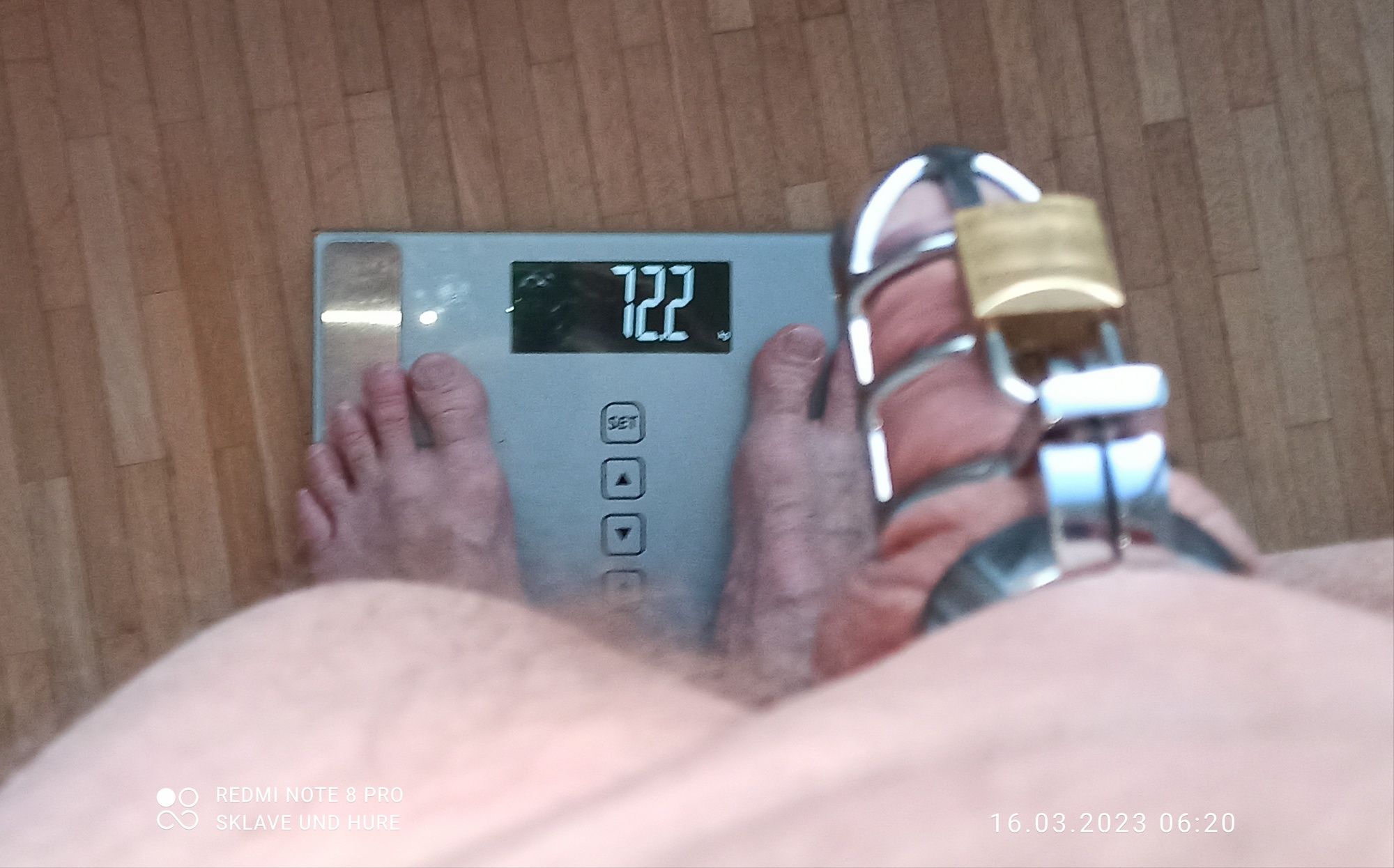 mandatory weighing and cagecheck of 16.03.23 #8