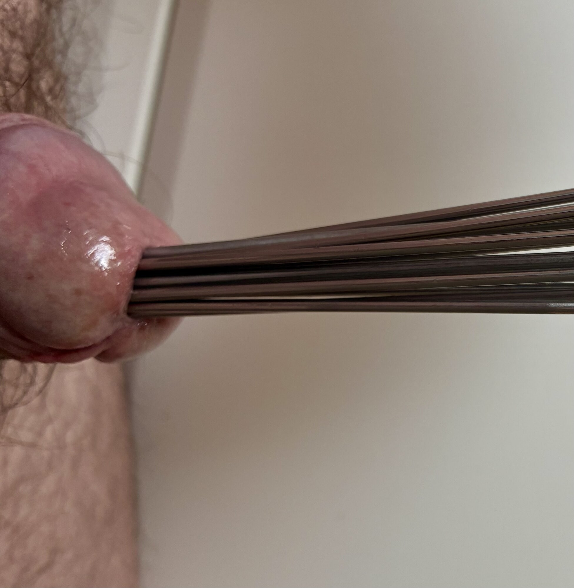 Thirteen rosebud sounds in cock 
