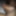 My Big Fat Thick Asian Dick