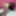Alisya JC weekly photos №1 #9