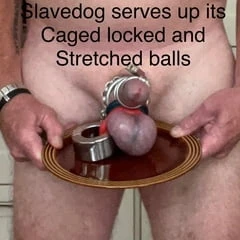 Dinner is served