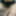 Yoga Class turns into creampies, possibly Impregnated #8