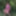 Flowered dress #40