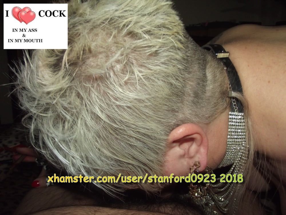 SLUT LOVES COCK #15