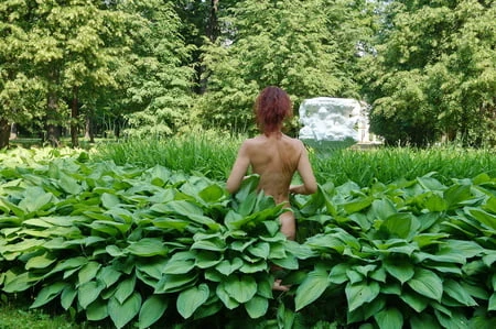 naked in the grass         