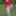 Redhead Outdoors Strips Jeans Off Wearing Pantyhose #4
