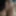 Teaser