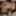 Blonde Teens Maisey Monroe &amp; Jade Jaxx First Interracial Thr #9